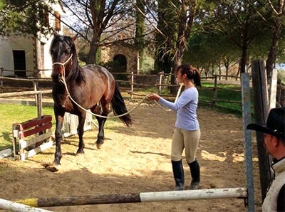 Mister Big B learning with natural training