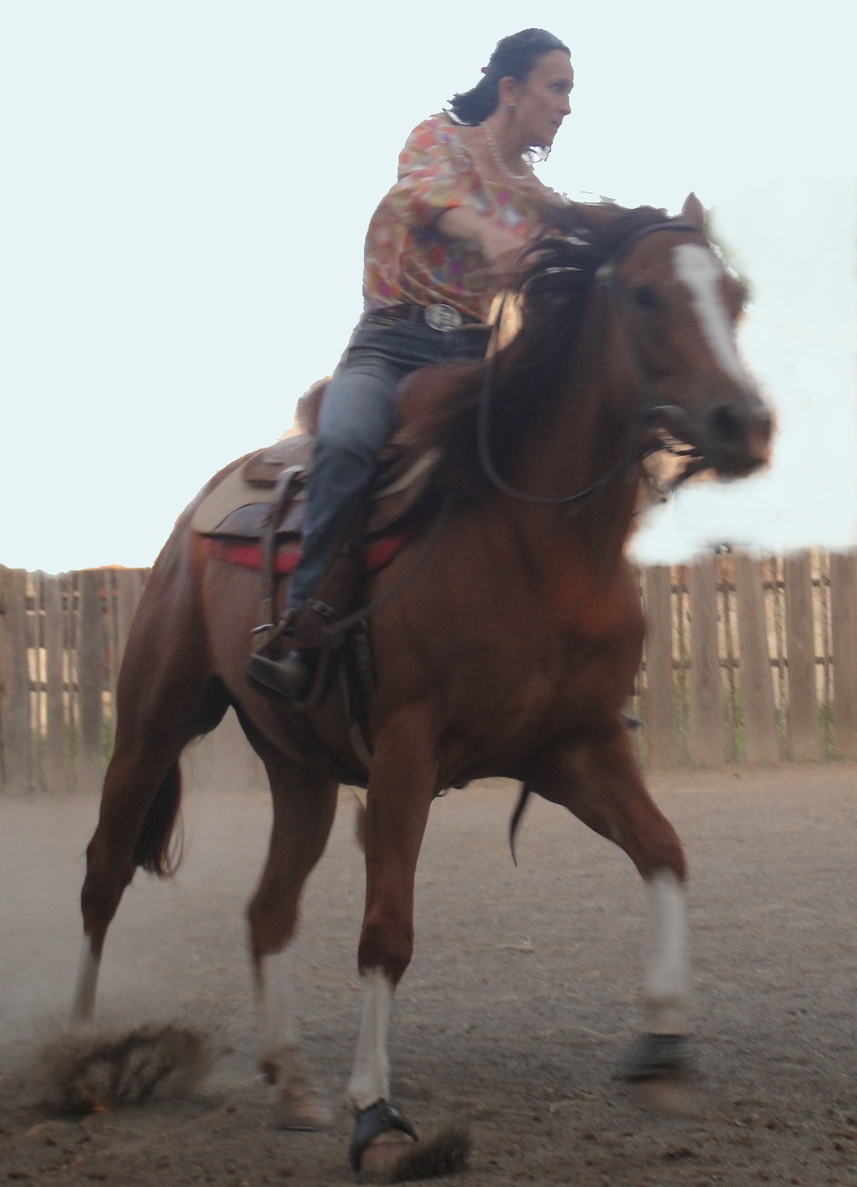 Natural horse training: Elena Bajona teaching Big Mama to be a horse again