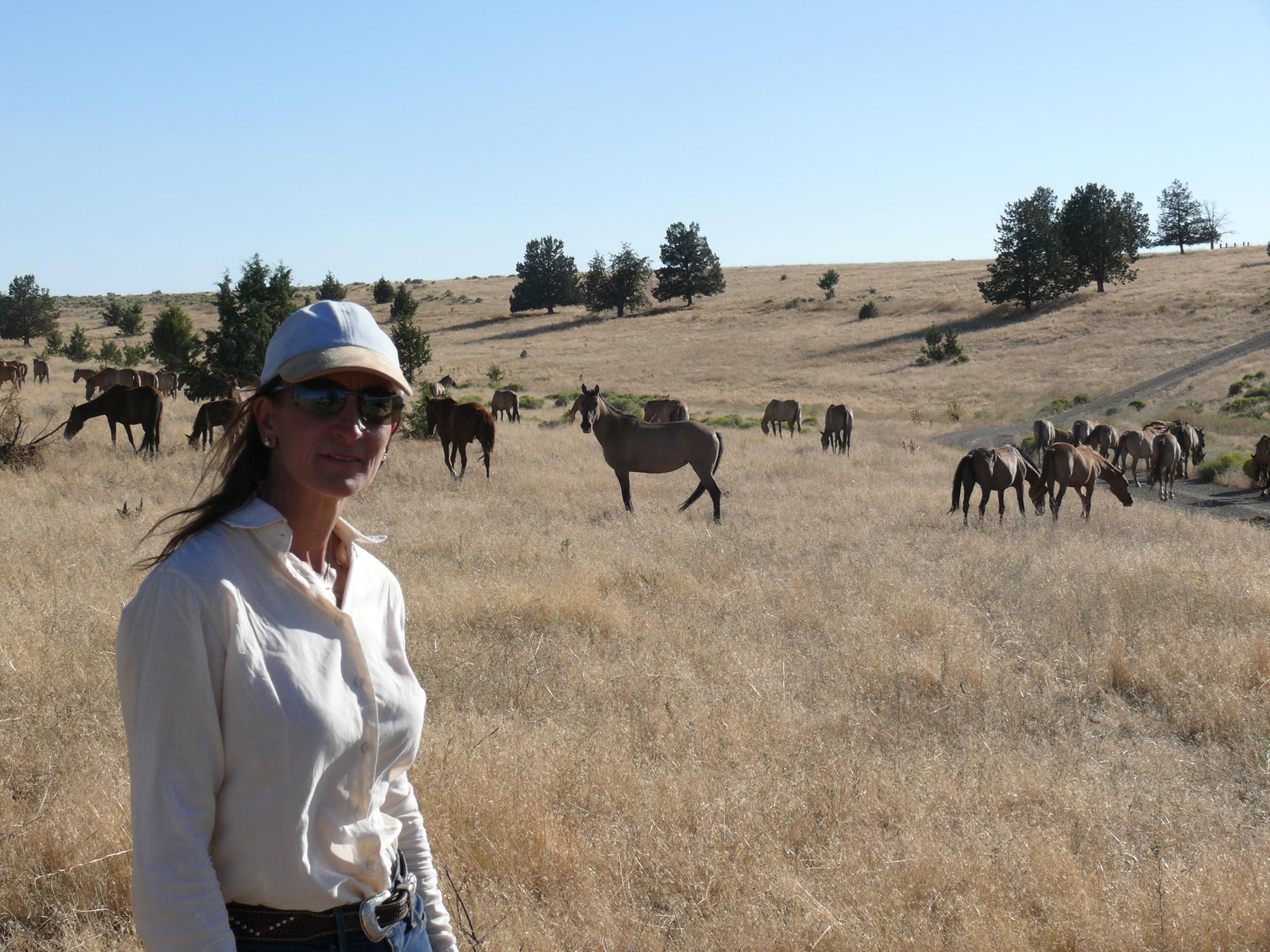 Elena Bajona Wild Horse Watching