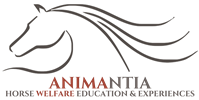 Animantia Logo