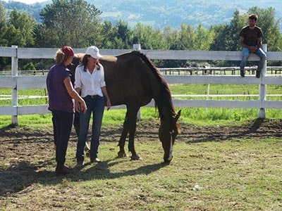 Elena Bajona during a behavioral evaluation