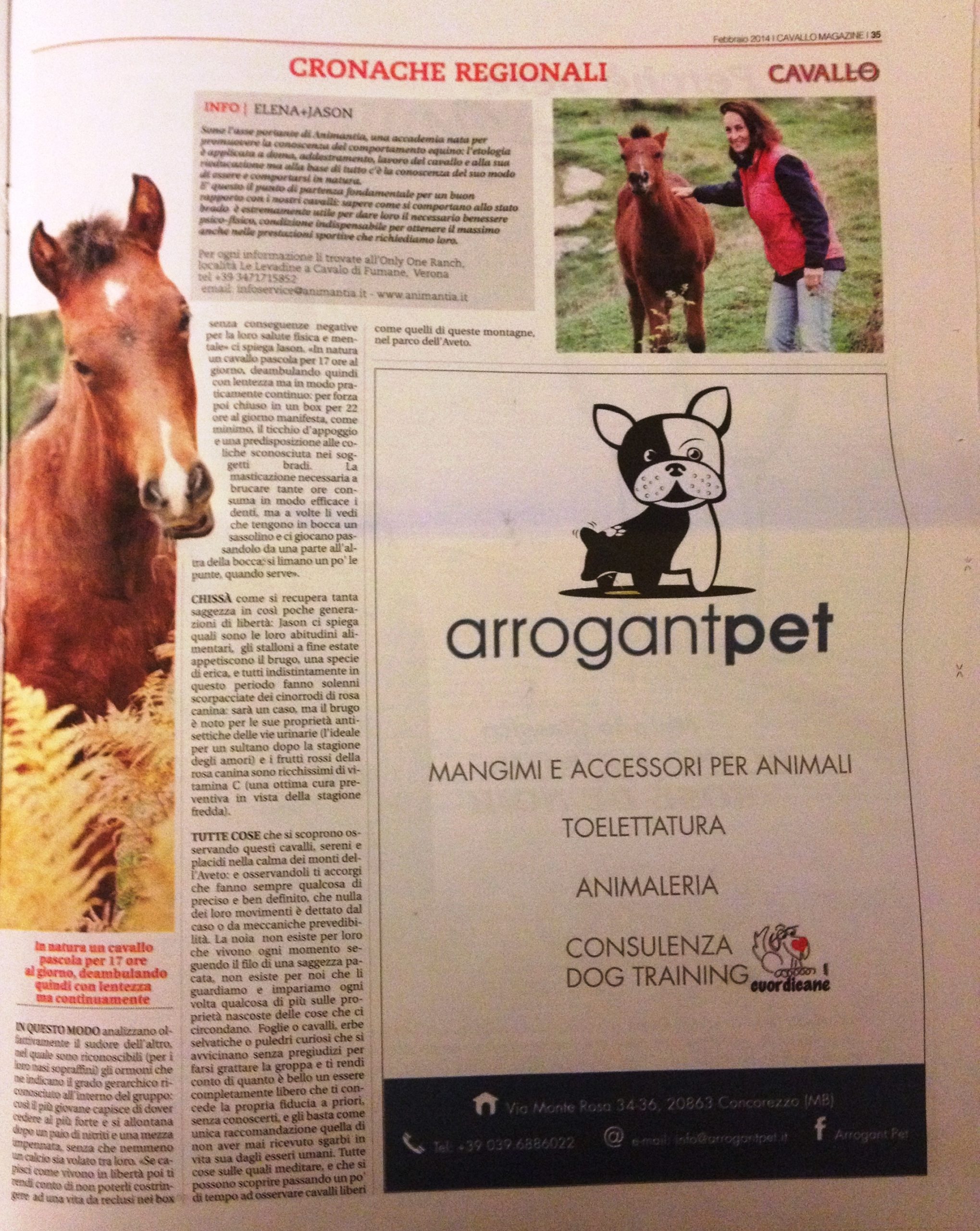 I cavalli Selvaggi in Liguria - Cavallo Magazine, Febbraio 2014