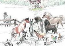 Horses socila animals - Animantia