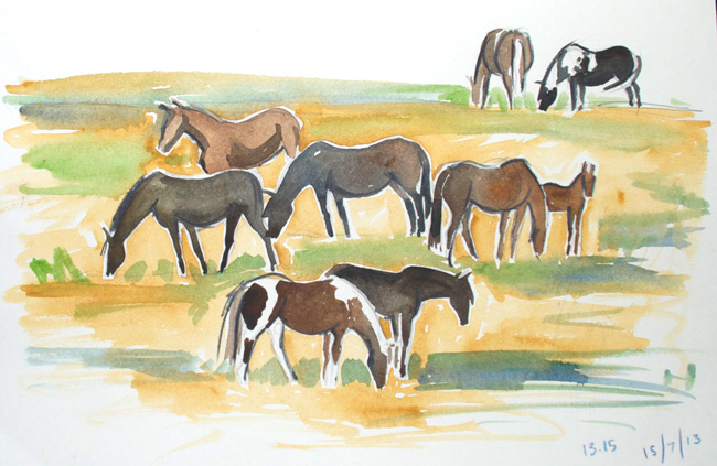 Equine stables - Animantia