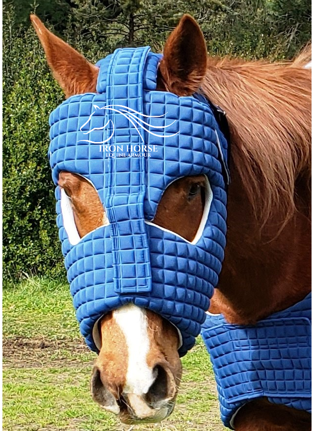 Helmet - Equine armour