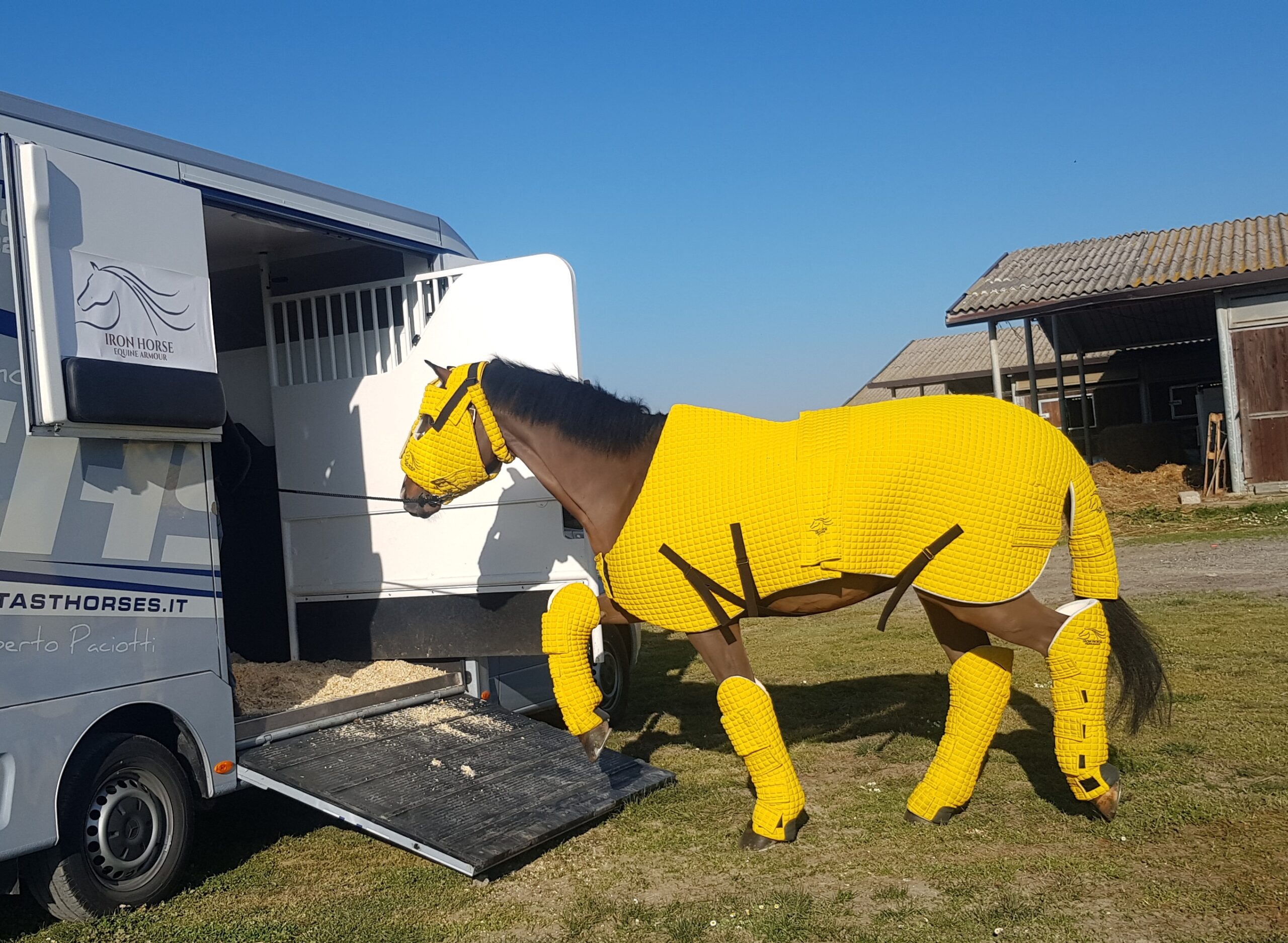 Equine Armour 