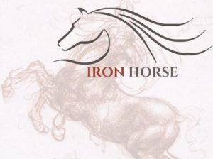 Equine Armour - Horse protection